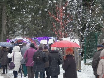 Fantazija "Božične bajke" v Mozirskem gaju