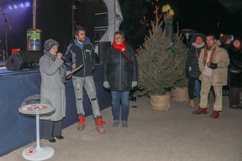 Zelena drevesa našla nov dom