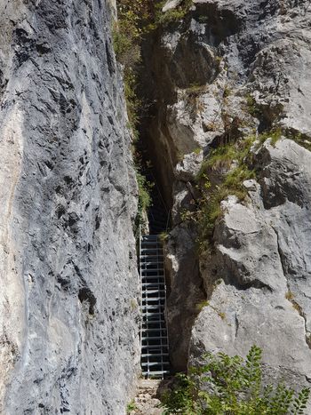 V načrtu nova tematska pot na Bohinjski Beli