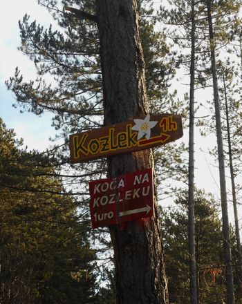 FOTOREPORTAŽA : Veterani PD na Kozleku  9. 1. 2019                        