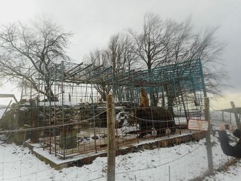 Fotoreportaža: Mladi planinci PD Podpeč - Preserje na Nanosu 12. 1. 2019