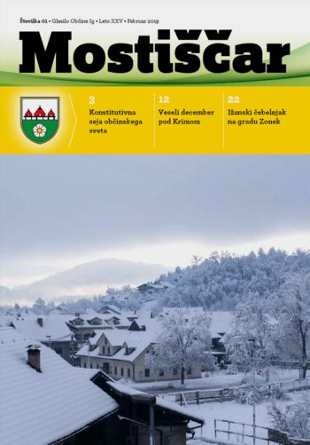 Mostiščar februar