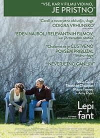 Lepi fant
