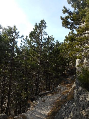 FOTOREPORTAŽA : Mladi planinci PD Podpeč Preserje na Kuclju  16.2.2019