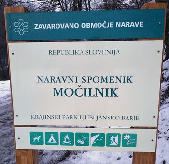 Naravni spomenik Močilnik