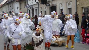 Poročilo o ogledu 26. pustnega karnevala v Ribnici (Sonček)