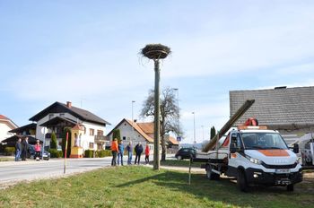 VESELI SMO, DA SE ŠTORKLJE V NAŠO OBČINO RADE VRAČAJO