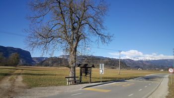 Začasna ukinitev avtobusnega postajališča na Koritnem