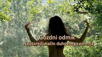 GOZDNI ODMIK