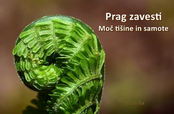 USTVARJANJE PRAGA ZAVESTI