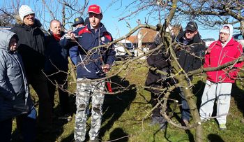 Strokovni prikaz obrezovanja sadnega drevja na Dobenu