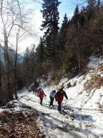 FOTOREPORTAŽA : PD na Ratitovcu  24. 2. 2019                        