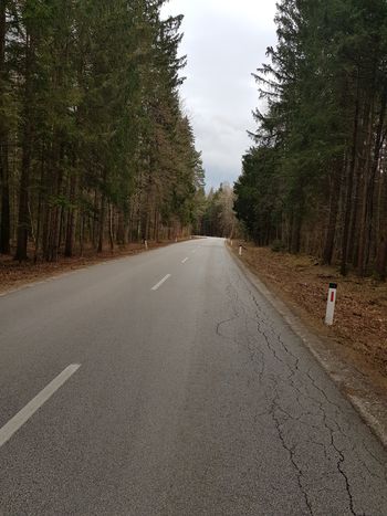 Čiščenje podrastja ob cestah