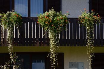 SAMOIZPRAŠEVANJE NA MATERINSKI DAN