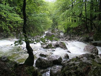 Otvoritev razstave "Pitna voda za vse"