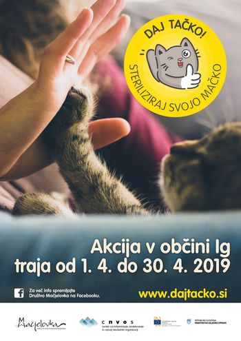 Zadnji dnevi za sterilizacijo in kastracijo muckov