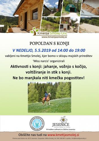 Popoldan s konji na Kmetiji Smolej v Planini pod Golico