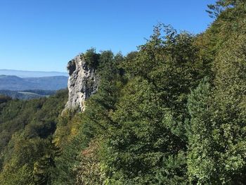 POHOD NA KOPITNIK-GORE