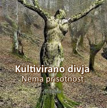 KULTIVIRANO DIVJA