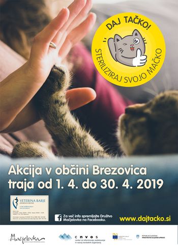 Daj tačko! Steriliziraj svojo mačko