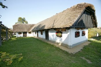 Pohod po po Slovenjegoriški poti od Trnovske vasi do Sakušaka.