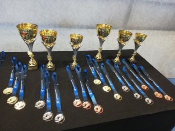 Pokali in medalje - naš cilj