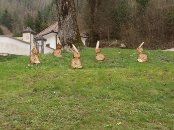 V Kokri se pasejo velikonočni zajčki