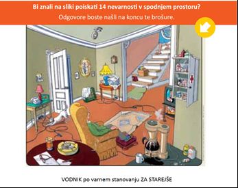 Varni in zdravi v svojem domu - Predstavitev raziskovalne naloge 
