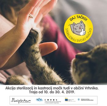 DOLGA POT OD STATUSA JUNAKOV DO LJUBLJENČKOV