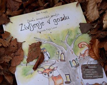 Pravljična ura in ustvarjalna delavnica z Deni Kragelj: Življenje v gozdu