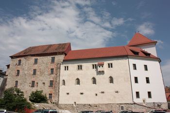 Pokrajinski muzej Celje: Javno vodstvo po razstavi Celeia – mesto pod mestom
