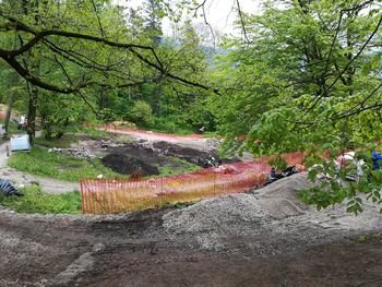 Grajski park dobiva novo podobo