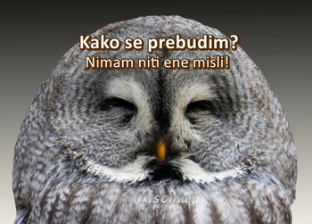 Kako se prebudim?
