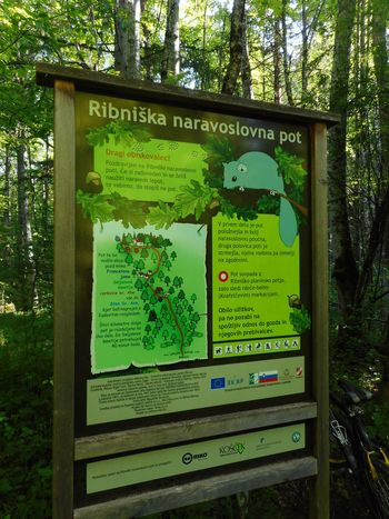 FOTOREPORTAŽA : Mladi planinci PD Podpeč Preserje na stenah svete Ane na Mali gori  25.5.2019
