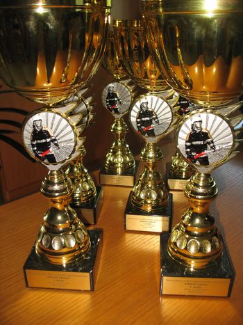 TEKMOVANJE STAREJŠIH GASILK IN GASILCEV ZA POKAL GASILSKE REGIJE DOLENJSKA