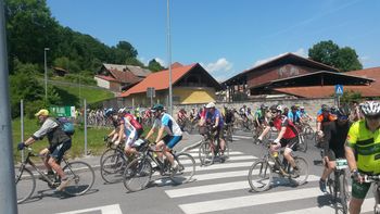 Barjanka 2019 - uspešna predstavitev naših društev na prireditvi