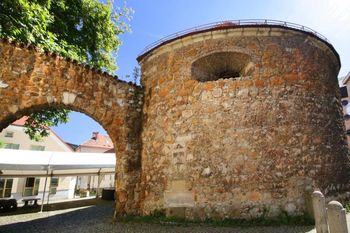 Celjani Celjanom: Pesniška zbirka Dareta Gozdnikarja