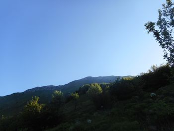 FOTOREPORTAŽA : PD na Stolu – Kobariškem 9.6.2019                        