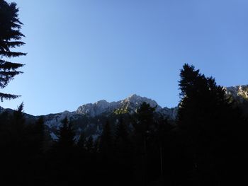 FOTOREPORTAŽA : PD na Storžiču  16.6.2019                        