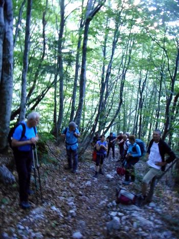 FOTOREPORTAŽA : PD na Storžiču  16.6.2019                        