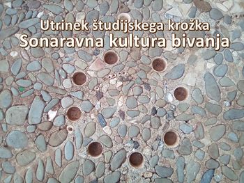 Utrinek študijskega krožka Sonaravna kultura bivanja