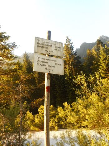 FOTOREPORTAŽA : PD na Jerebici  29.6.2019                        