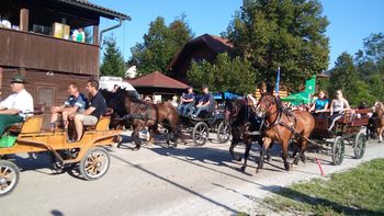Odlični rezultati domačih 