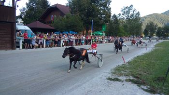 V Šentjerneju odlični rezultati Krmovcev
