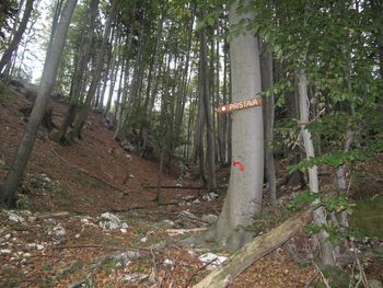 Pohod po Gajškovi poti na Pristavo