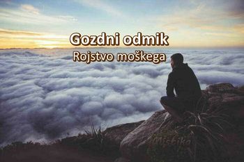 Gozdni odmik za moškega