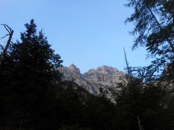 FOTOREPORTAŽA : PD na Rjavini  4.8.2019                        