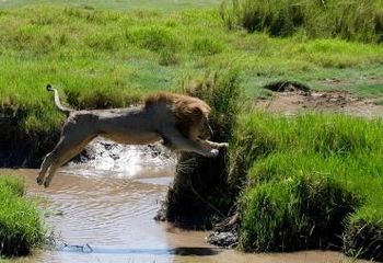 Potopisno predavanje: Kenija&Tanzanija z Zanzibarjem