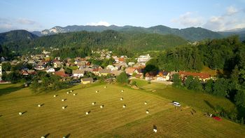Objavljen javni razpis za delovanje društev na področju kmetijstva in ohranjanja podeželja
