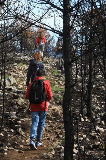UNESCO srečanje mladih na Cerju – projekt Meja